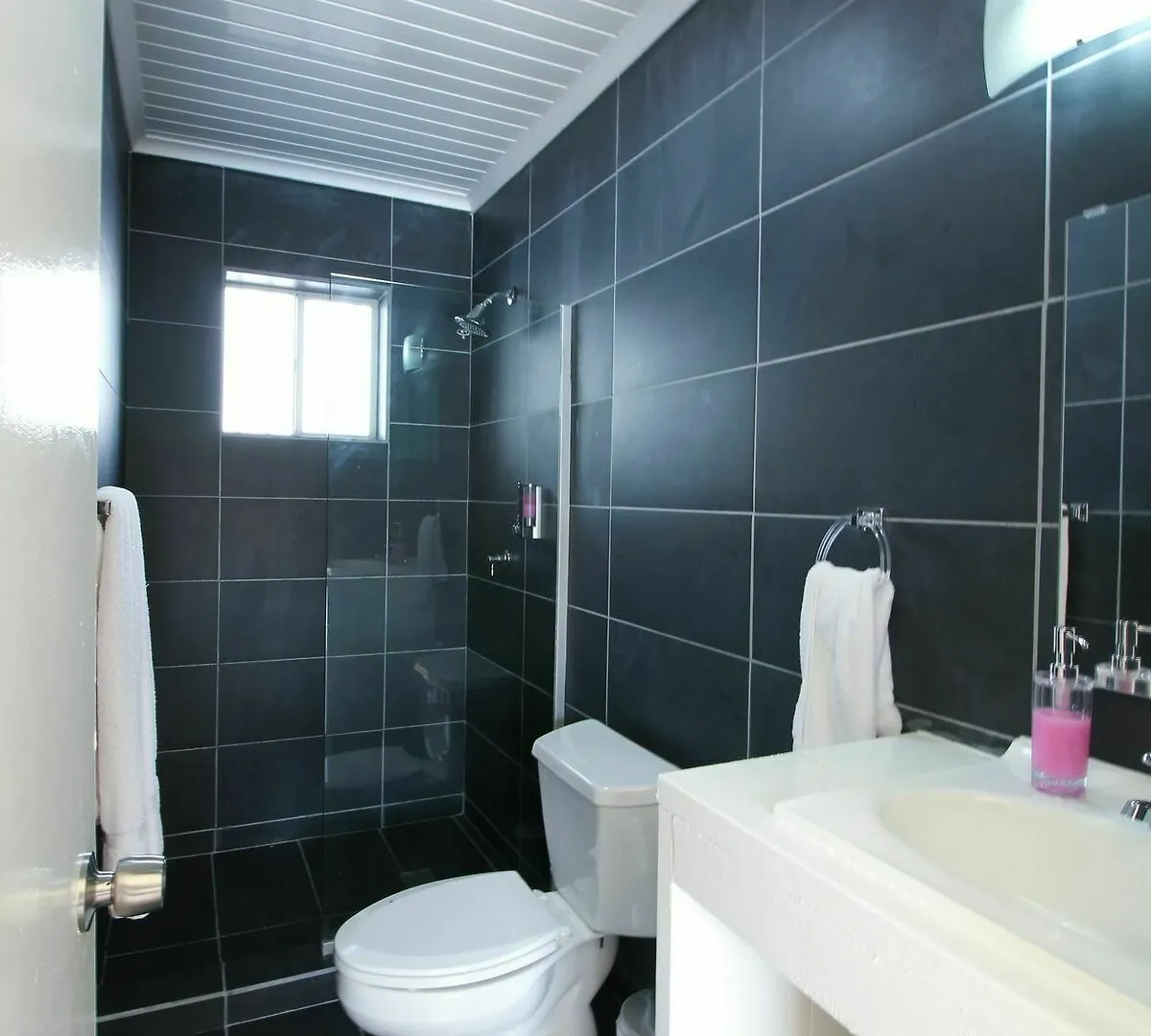 Palazzio Apartments And Studios Oranjestad 0*,  Aruba